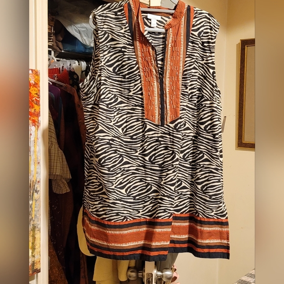 Lady's plus size Charter Club dress. Zebra stripes with rust trim - Picture 3 of 4
